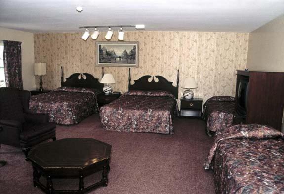 Ivy Rose Motor Inn Windsor Kültér fotó