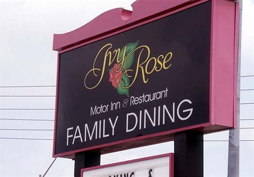 Ivy Rose Motor Inn Windsor Kültér fotó